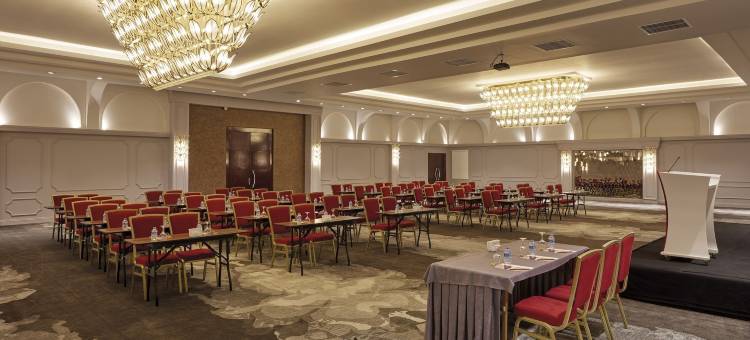 安尼蒙酒店-埃斯基谢希尔(Anemon Grand Eskişehir Otel)图片