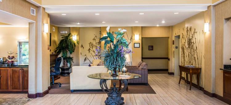 舒眠套房酒店(Sleep Inn & Suites)图片