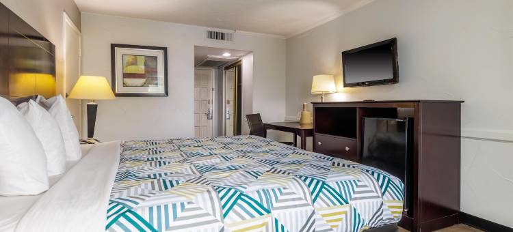 达拉斯市中心 6 号汽车旅馆(Motel 6 Dallas TX  Downtown)图片