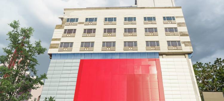 Treebo D Grand图片