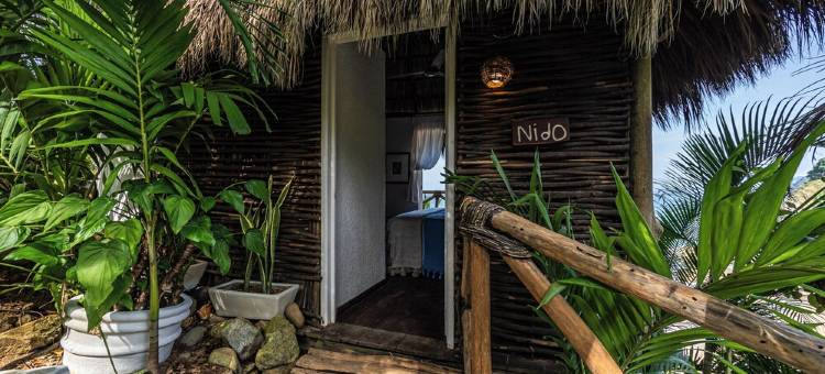 Villa Violeta Luxurious Secluded Beachfront Hideaway. Weekly & Monthly discounts图片