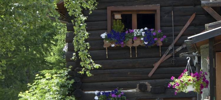 菲奥里小屋("CHALET dei FIORI" Room & Apartment)图片