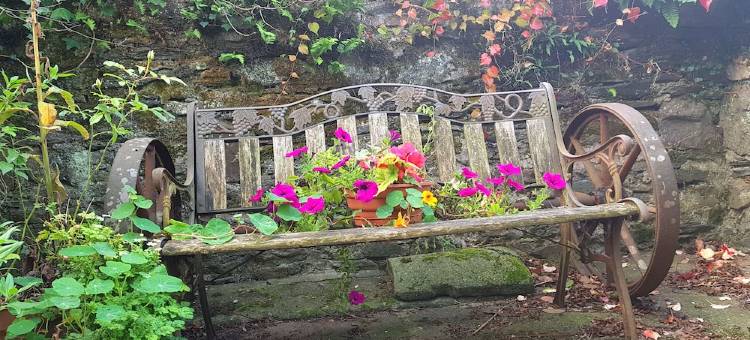 Gorgeous spacious cottage in pretty garden setting in Sunny South East Ireland!图片