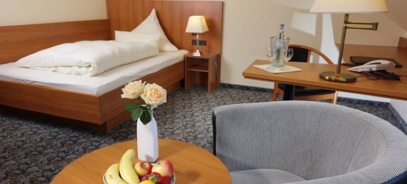 费舍尔酒店(Hotel Restaurant Fischer)图片