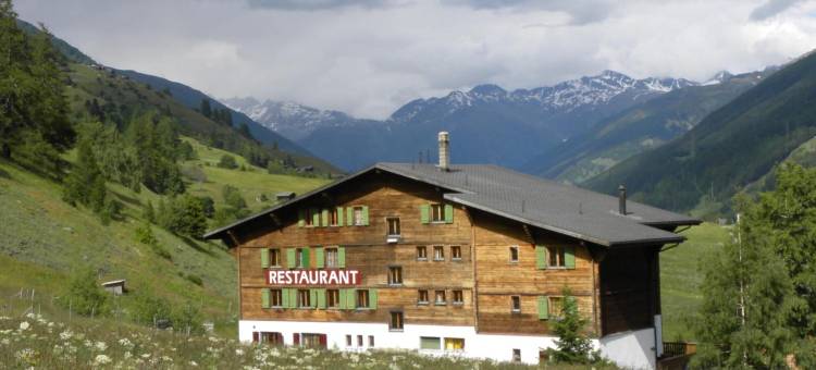 瓦里赛尔桑尼餐厅酒店(Hotel Restaurant Walliser Sonne)图片