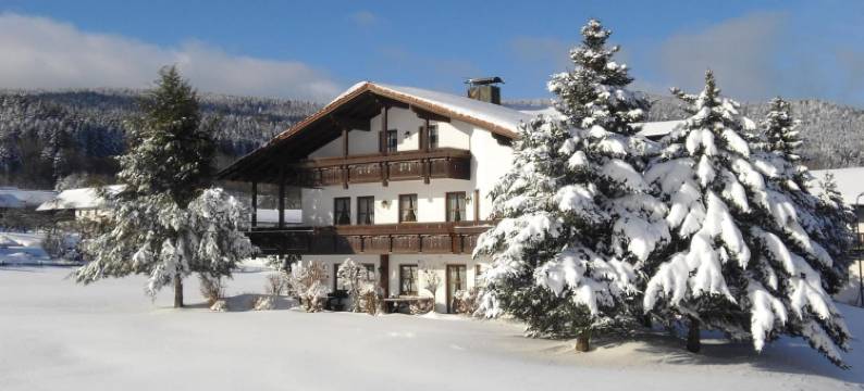 克拉斯旅馆酒店(Gasthof-Pension-Kraus)图片