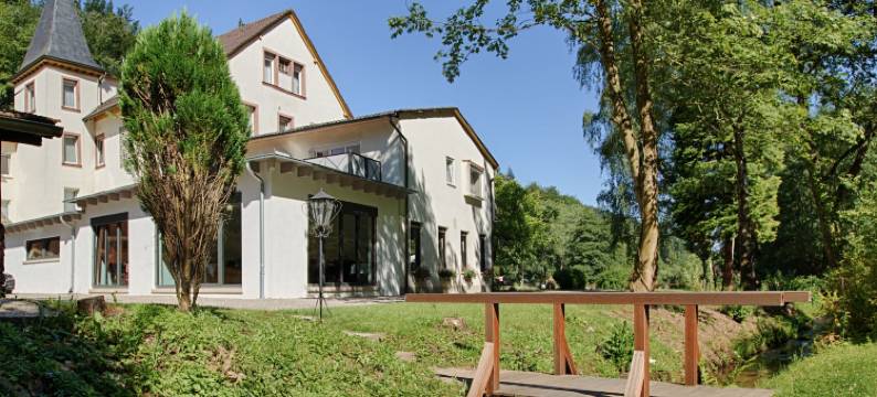 普法勒兹瓦德酒店(Hotel Pfälzer Wald)图片