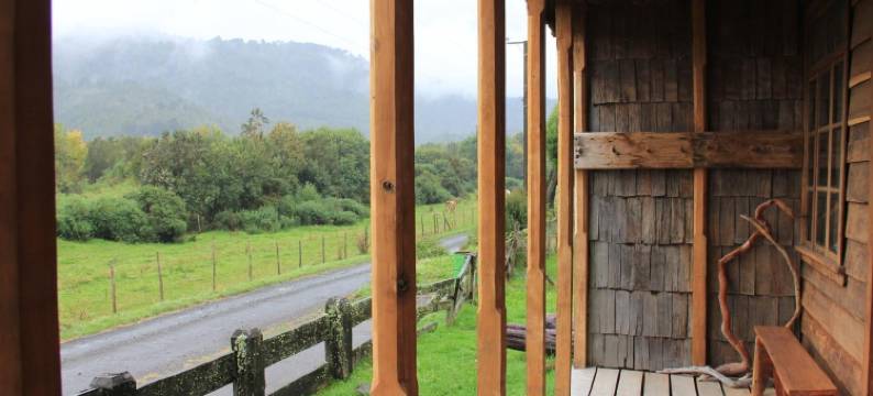 乡村农场旅馆(La Casona Puelo Lodge)图片