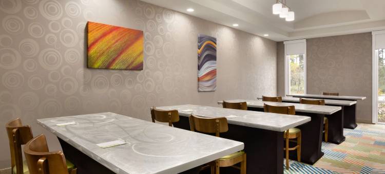 兀兰希尔顿惠庭套房酒店(Home2 Suites by Hilton Shenandoah The Woodlands)图片