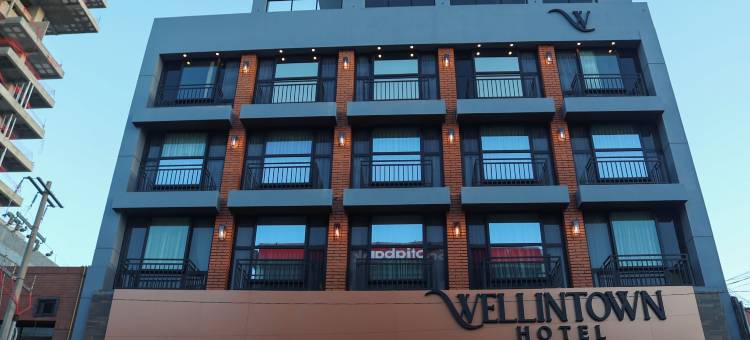 威灵顿酒店(Hotel Wellintown)图片