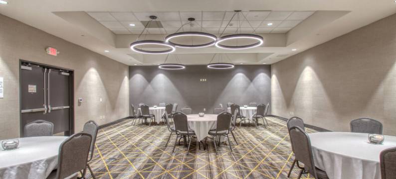 阿普尔顿威斯康星假日酒店(Holiday Inn APPLETON by IHG)图片