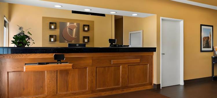 萨吉诺北舒适套房酒店(Comfort Suites- Saginaw)图片