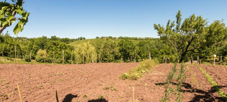 Villa with Pool in Corrèze图片