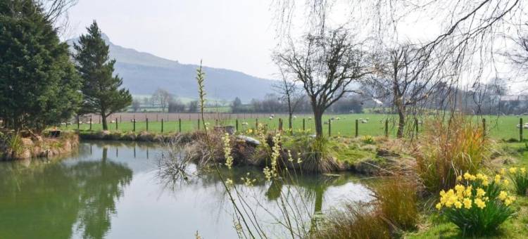 Cottage in North York Moors with Scenic Trails图片