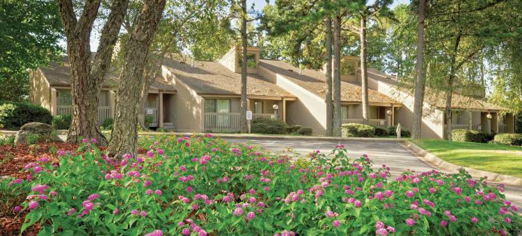 温德姆费尔菲尔德湾度假村(Club Wyndham Resort at Fairfield Bay)图片