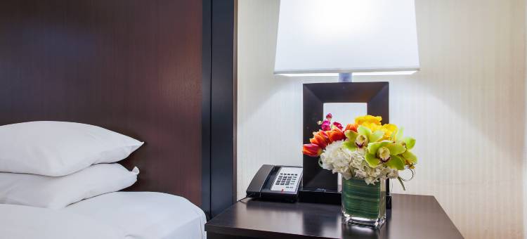 灯光芝加哥逸林酒店(DoubleTree by Hilton Hotel Chicago - Alsip)图片