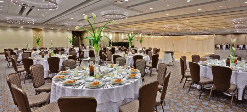 芝加哥奥黑尔皇冠假日酒店与会议中心(Crowne Plaza CHICAGO OHARE HOTEL & CONF CTR by IHG)图片