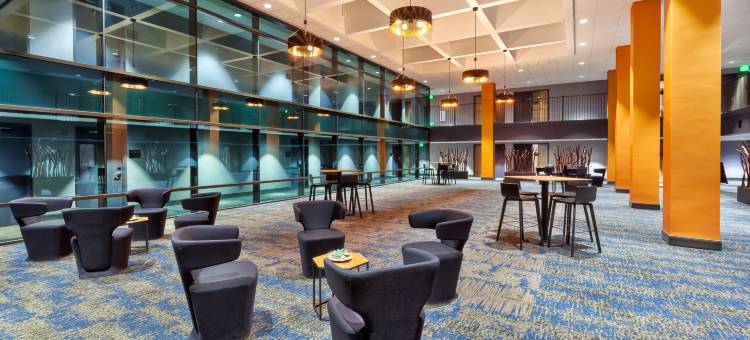 Hotel Indigo 罗切斯特城中心(Hotel Indigo Rochester – Mayo Clinic Area)图片