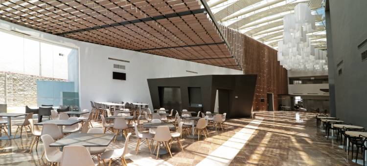 Holiday Inn Express 圣路易斯波托西(Holiday Inn Express San Luis Potosi)图片