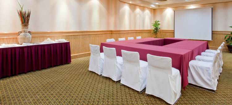 拉皮达德假日酒店(Holiday Inn la Piedad)图片