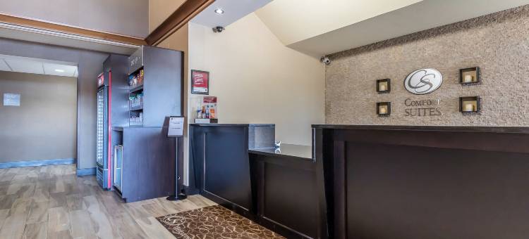 圣查尔斯舒适套房酒店-圣路易斯(Comfort Suites St Charles-St Louis)图片