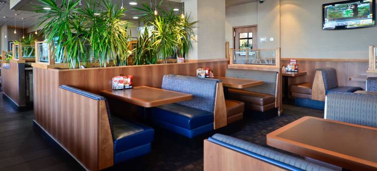 莱斯布里奇桑德曼酒店(Sandman Hotel Lethbridge)图片