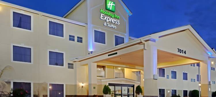 IAH布什机场-东舒适套房酒店(Comfort Inn & Suites IAH Bush Airport - East)图片