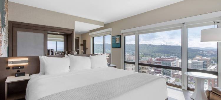 阿什维尔市中心坎布里亚酒店(Cambria Hotel Downtown Asheville)图片