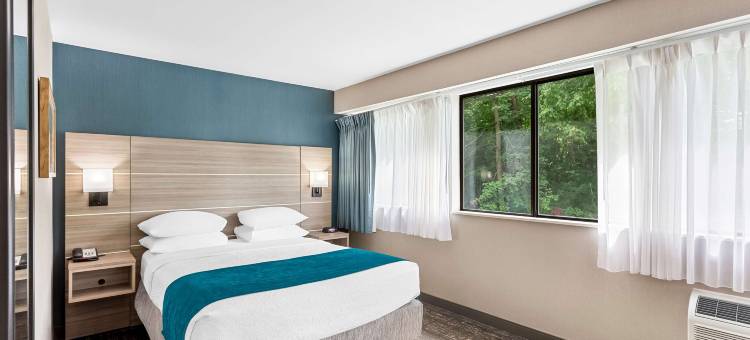 贝斯特韦斯特达特茅斯旅馆(Best Western West Lebanon- Hanover Hotel)图片