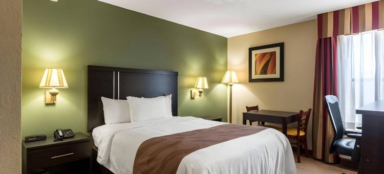 克莱蒙斯 I-40 凯艺套房酒店(Quality Inn & Suites Clemmons I-40)图片