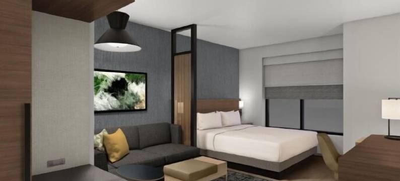 凯悦嘉轩卡里亚里会议中心(Hyatt Place Cariari Convention Center)图片