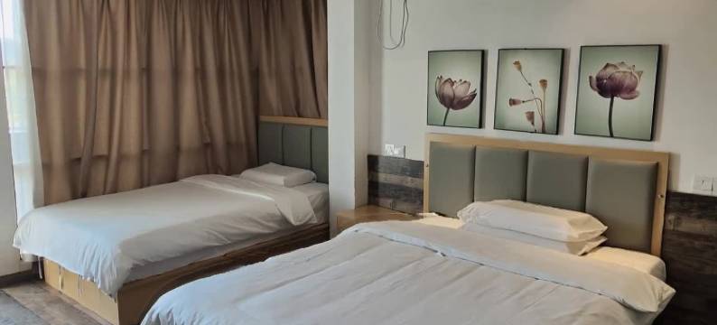 宜兴竹海心宿民宿图片