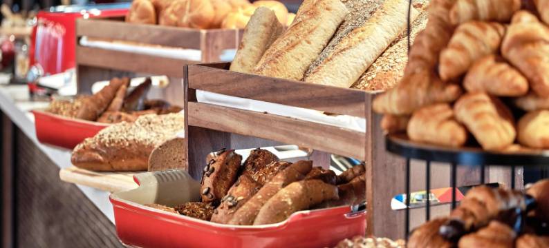 丽笙红因斯布鲁克酒店(Radisson Red Innsbruck)图片