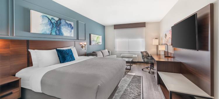 里亚托贝斯特韦斯特优质酒店(Best Western Plus Rialto)图片
