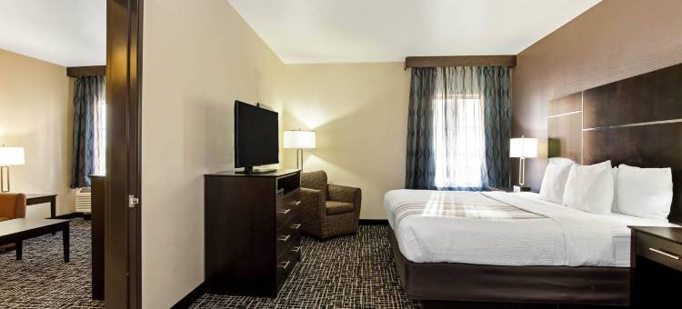 丹佛盖特威公园拉昆塔温德姆套房酒店(La Quinta Inn & Suites by Wyndham Denver Gateway Park)图片