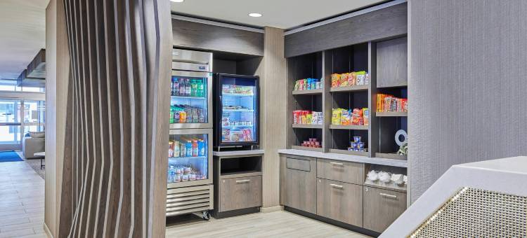 芝加哥唐人街 SpringHill Suites 酒店(SpringHill Suites Chicago Chinatown)图片