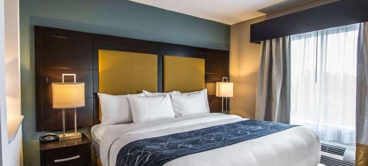 舒适套房酒店-罗德岱堡机场南游艇港(Comfort Suites Fort Lauderdale Airport South & Cruise Port)图片