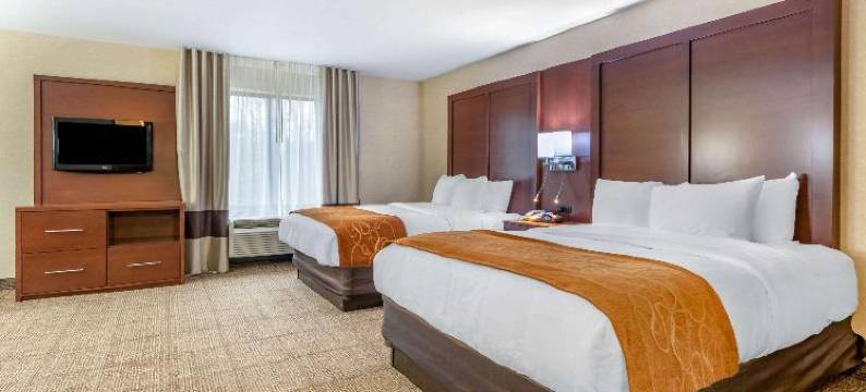 埃尔克哈特南舒适套房酒店(Comfort Suites South)图片