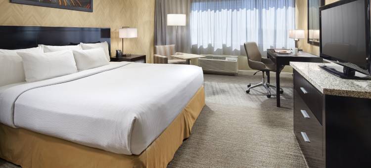 洛杉矶埃尔塞贡多希尔顿逸林酒店(DoubleTree by Hilton LAX - El Segundo)图片