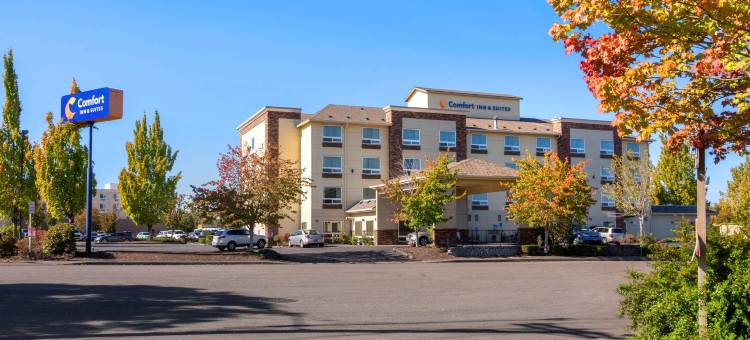 舒适套房酒店(Comfort Inn & Suites Salem)图片