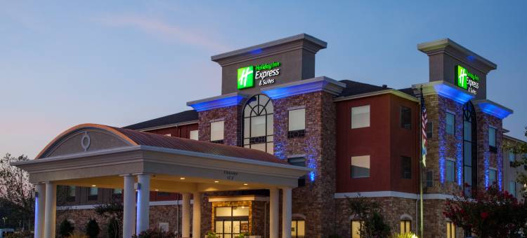 智选假日套房酒店特克萨卡纳(Holiday Inn Express & Suites TEXARKANA by IHG)图片