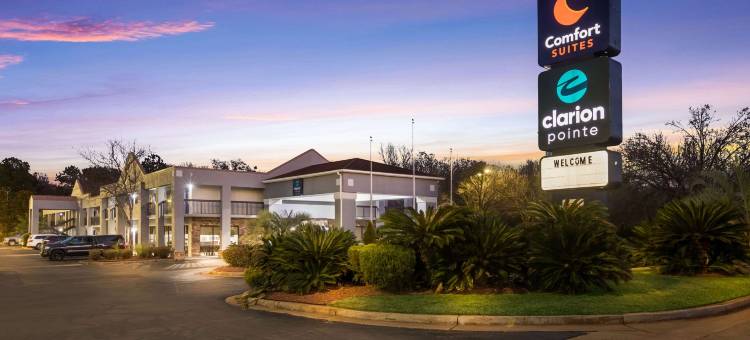 舒适套房酒店-近福赛斯I-75号(Comfort Suites Forsyth near I-75)图片