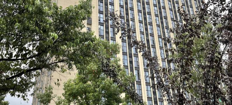 熊猫基地动物园太古里艾之家名宿公寓(方营路分店)图片