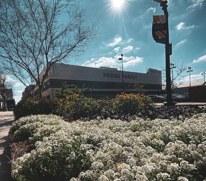 Stylish 3 Bedroom in The Trendy Warehouse District Hotel Overview