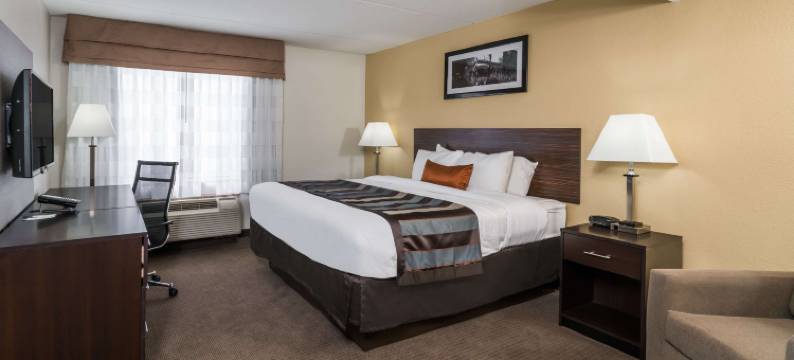 鲍灵格林蔚景温德姆酒店(Wingate by Wyndham Bowling Green)图片