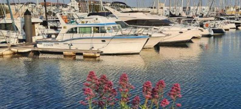 Appartement Vue Sur Mer图片