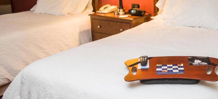 莱克星顿 - 乔治敦75号州际公路欢朋酒店(Hampton Inn Lexington/Georgetown)图片