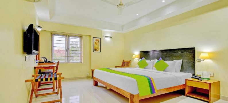 Treebo Vapr Guindy Ekkatuthangal图片