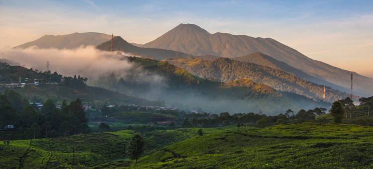 茂物阿玛丽利斯圣都城市景观酒店(Urbanview Hotel Amarilis Sentul Bogor by RedDoorz)图片