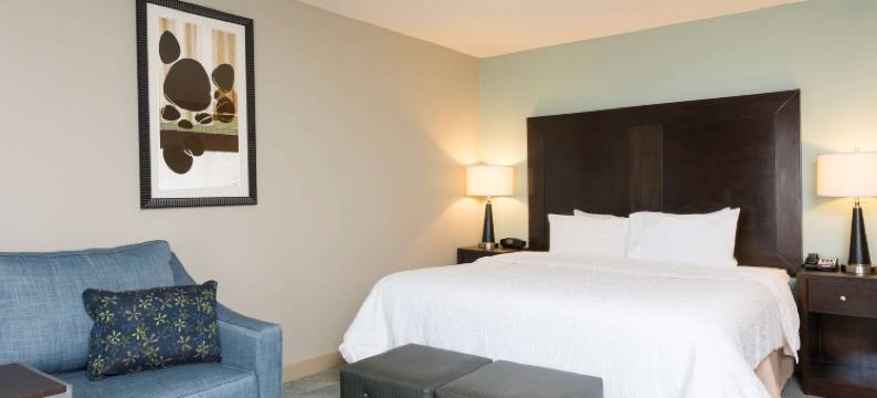 希尔顿欢朋酒店-底特律罗斯维尔(Hampton Inn Detroit/Roseville)图片